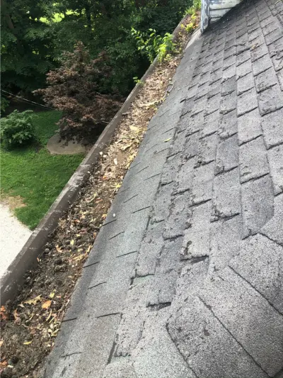 Before Gutter Cleaning Image