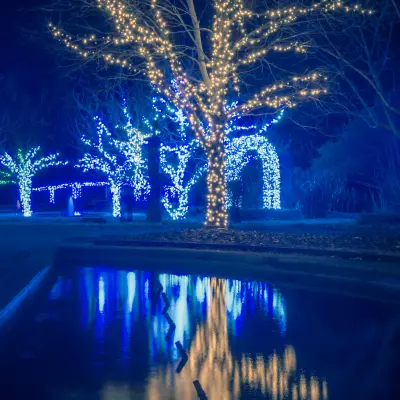 Before and after Christmas Lights image