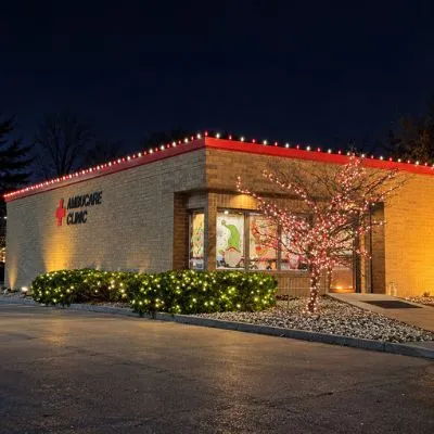 Professional Christmas Light Installation image 1