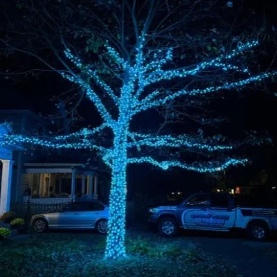 Professional Christmas Light Installation image 5