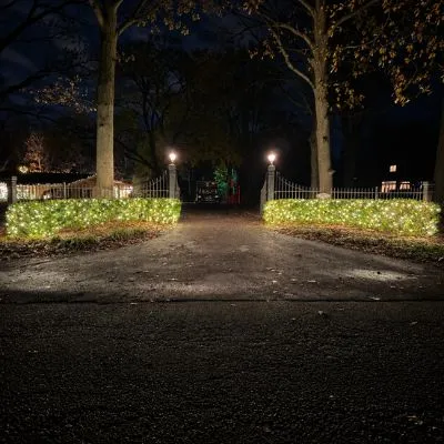 Professional Christmas Light Installation image 7