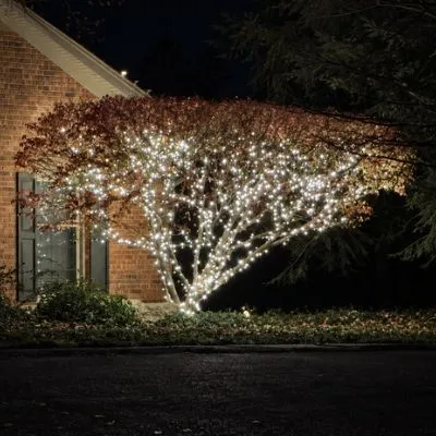 Professional Christmas Light Installation image 9