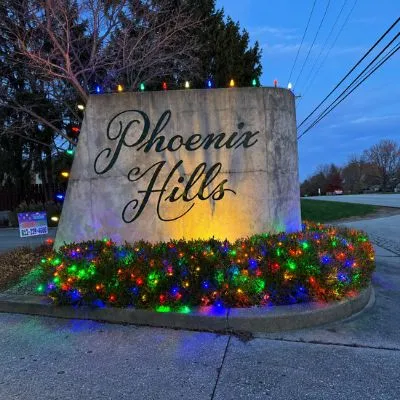 Professional Christmas Light Installation image 10